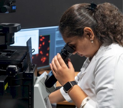 Integrated Master of Science