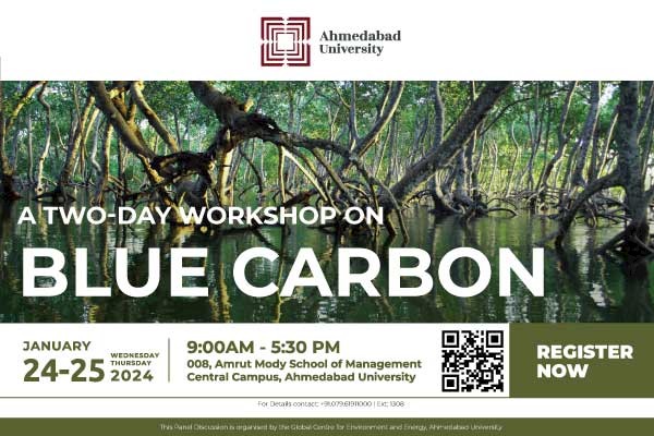 Blue Carbon Workshop