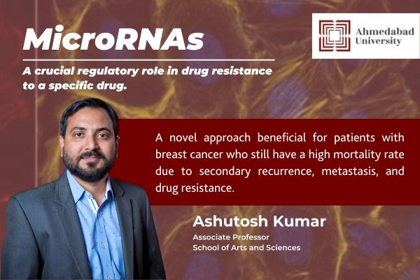 Study Shows MicroRNAs can be an Effective Treatment of Drug-Resistant Breast Cancer