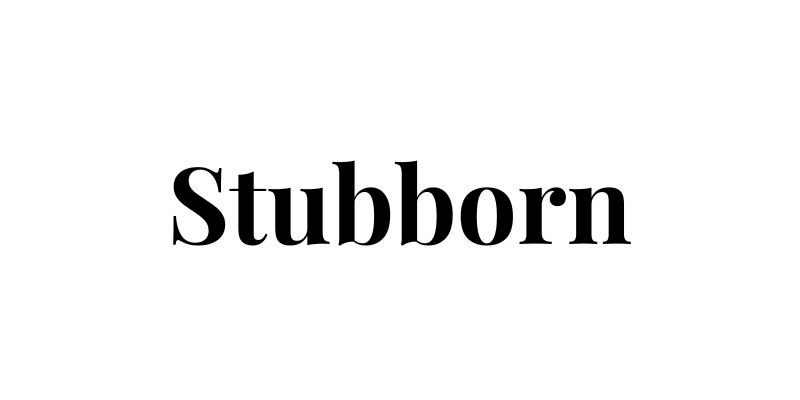 Stubborn | VentureStudio Incubatees