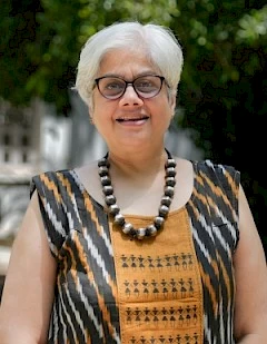 Neeraja Sankaran, Visiting Professor