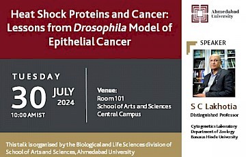 Heat Shock Proteins and Cancer: Lessons from Drosophila Model of Epithelial Cancer