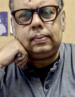 Pinaki Majumdar, Professor