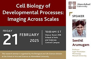 Cell Biology of Developmental Processes: Imaging Across Scales