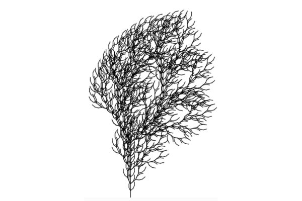 L-System Visualizer