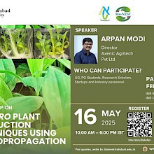 In Vitro Plant Production Techniques Using Micropropagation