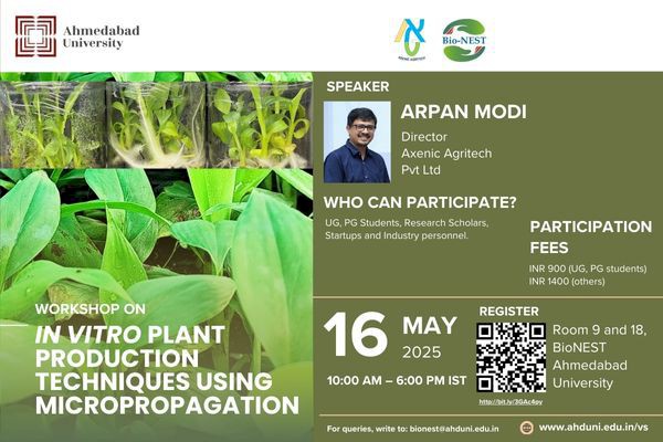 In Vitro Plant Production Techniques Using Micropropagation