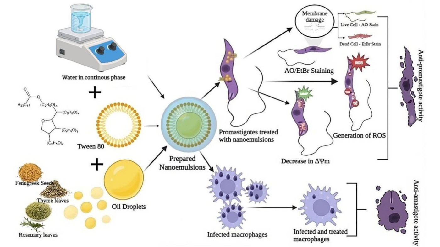 Leishmaniasis