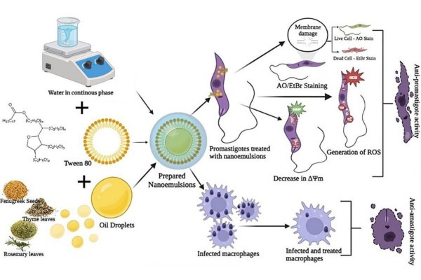 Leishmaniasis
