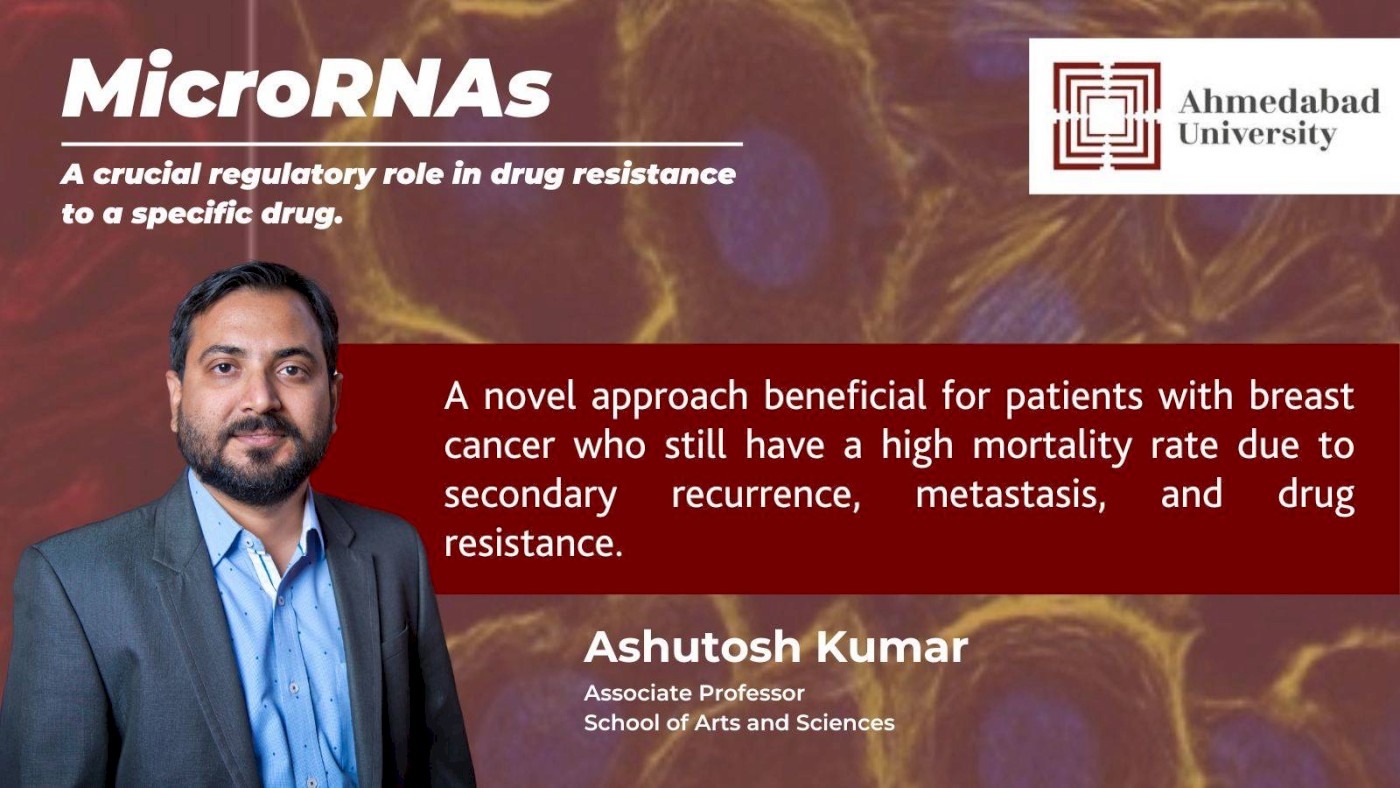 Study Shows MicroRNAs can be an Effective Treatment of Drug-Resistant Breast Cancer