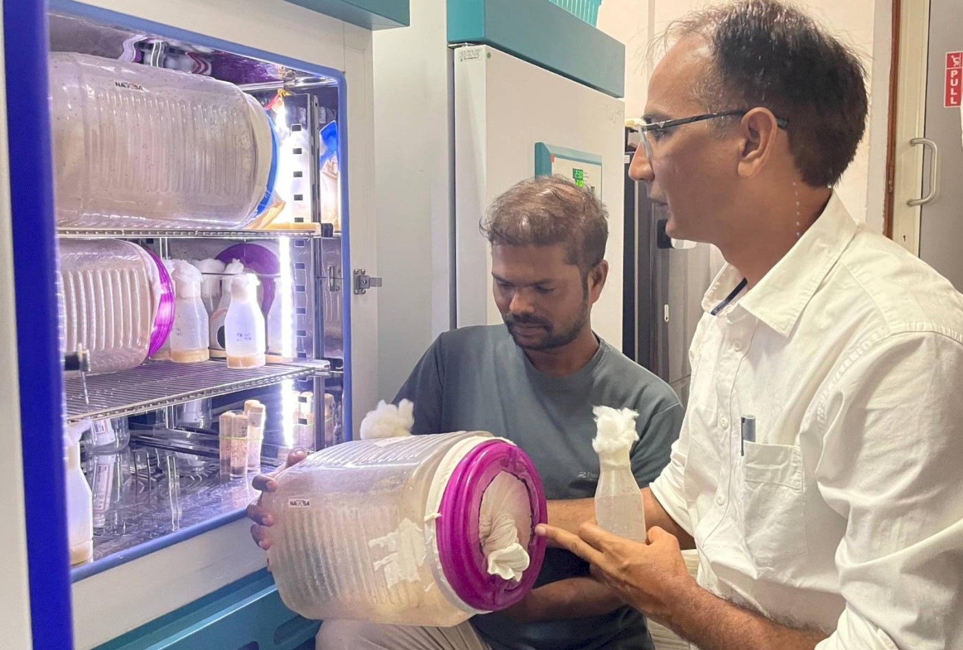 Subhash Rajpurohit Junk DNA