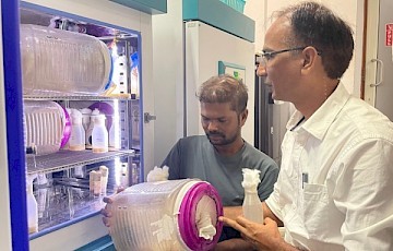 Subhash Rajpurohit Junk DNA