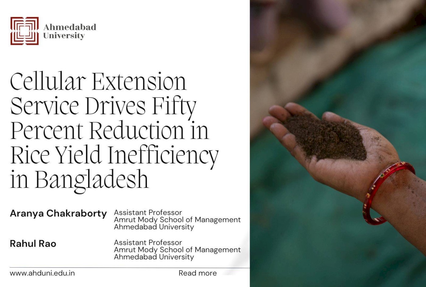 Rice Yield Inefficiency