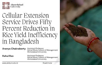 Rice Yield Inefficiency