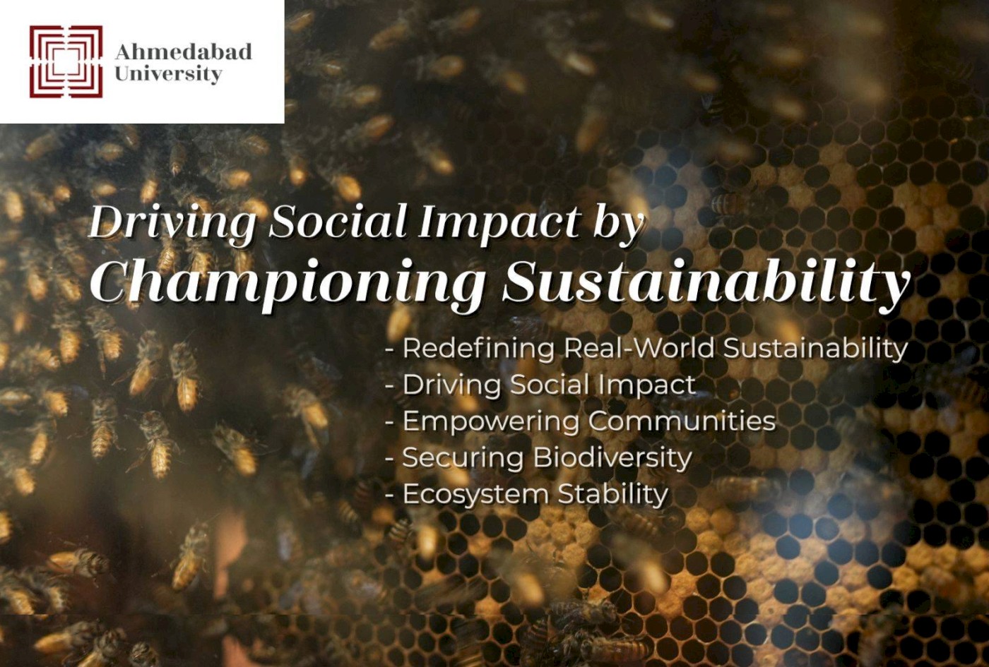 Driving Social Impact by Championing Sustainability