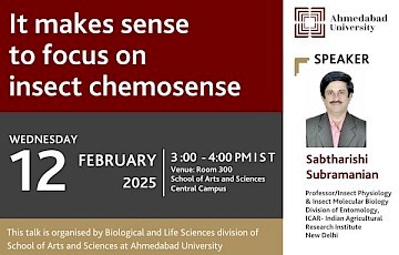 It makes sense to Focus on Insect Chemosense