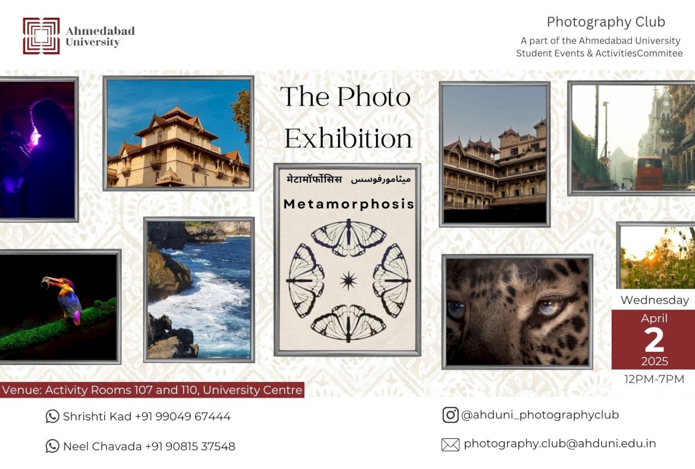 Metamorphosis: The Art of Transformation