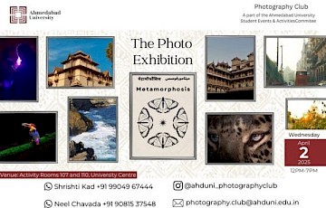 Metamorphosis: The Art of Transformation