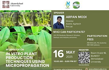 In Vitro Plant Production Techniques Using Micropropagation