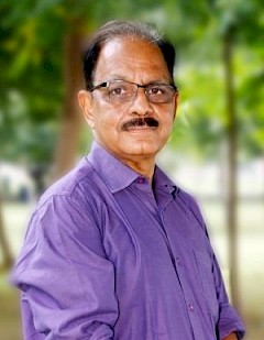 Vinod Kumar Mall, Visiting Professor | Ahmedabad University