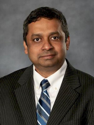 Dipankar Bandyopadhyay, Visiting Professor
