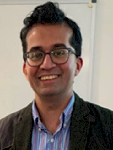 Siddhartha Kar, Visiting Professor