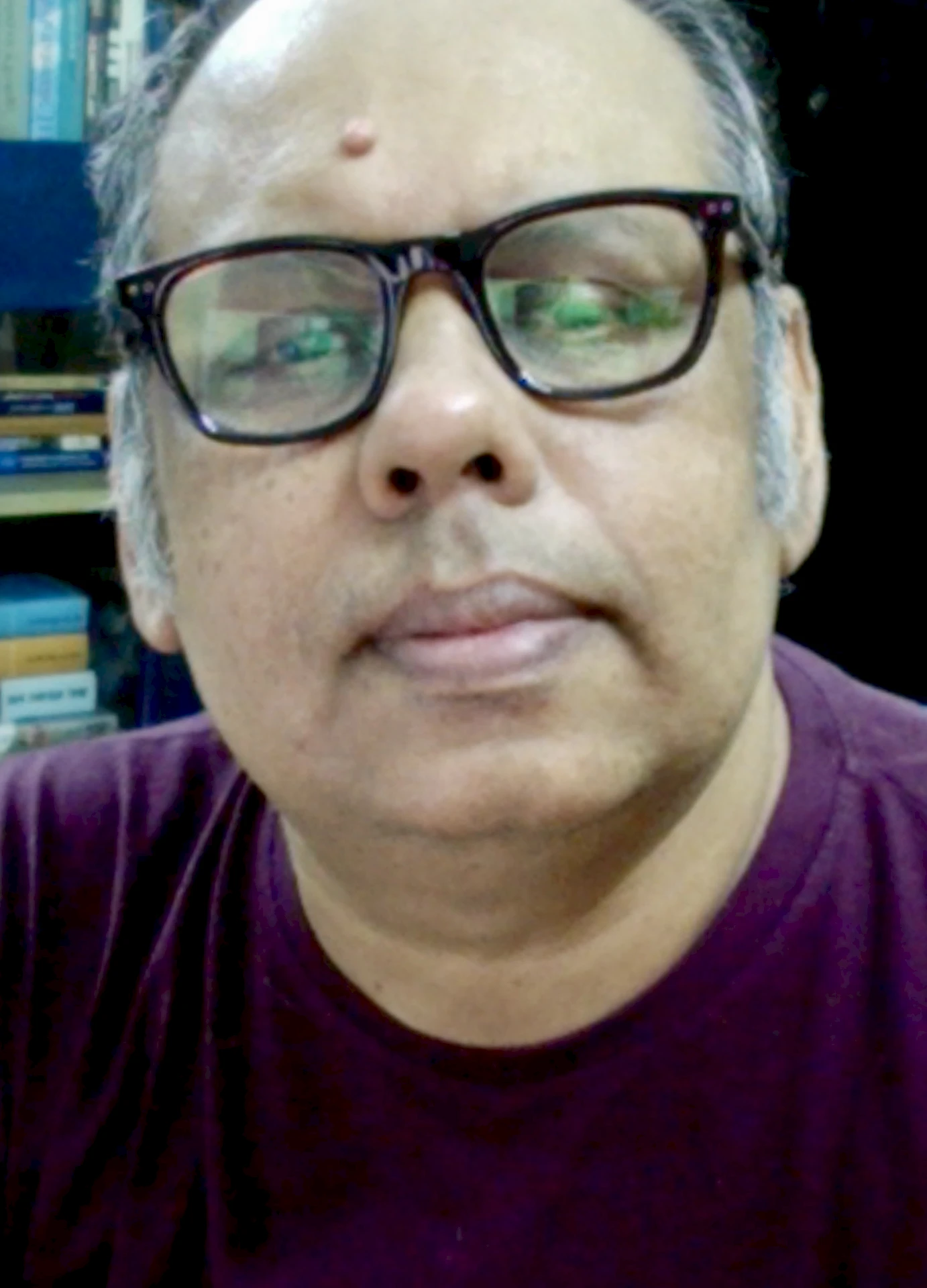 Pinaki Majumdar, Professor