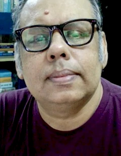 Pinaki Majumdar, Professor