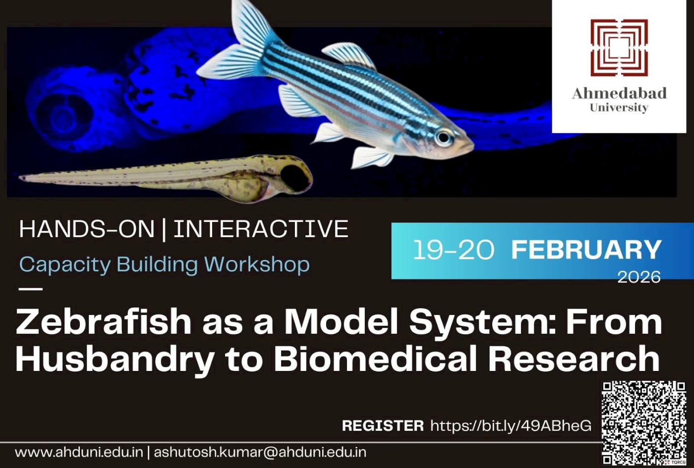 Zebrafish as a Model System