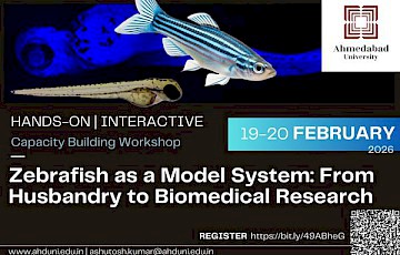 Zebrafish as a Model System