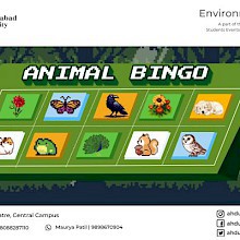 Animal Bingo