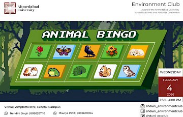 Animal Bingo