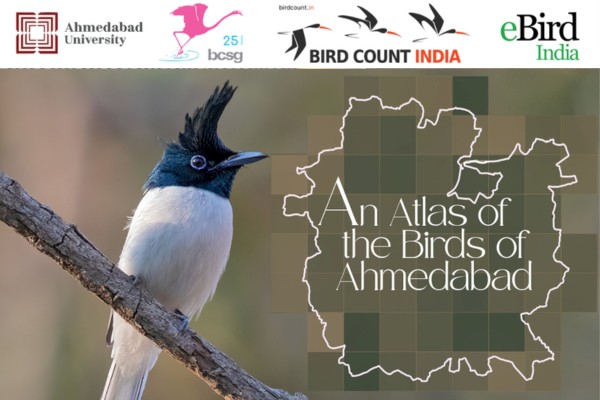 Ahmedabad City Bird Atlas