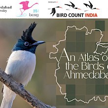 Ahmedabad City Bird Atlas