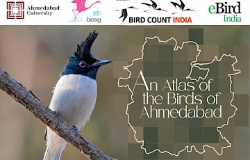 Ahmedabad City Bird Atlas