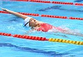 Seven Medals