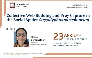 Social Spider Stegodyphus sarasinorum