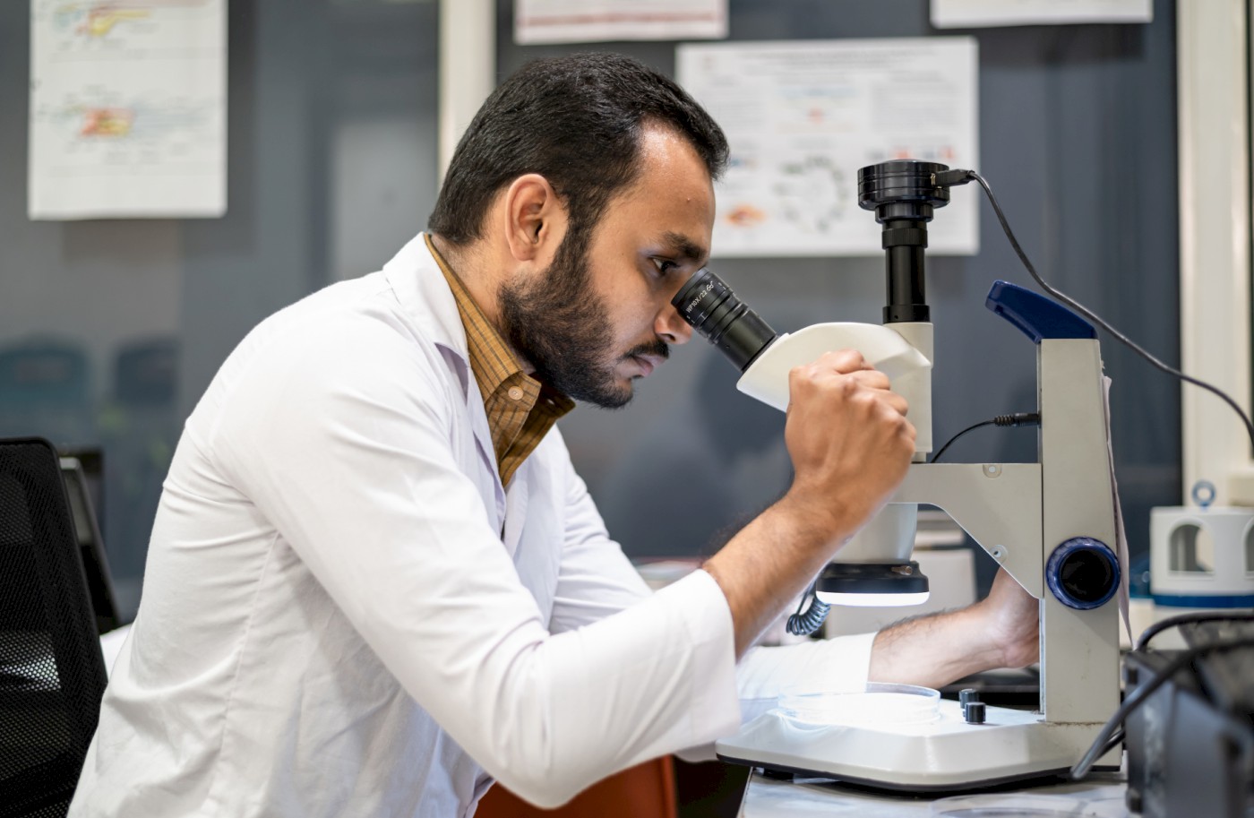 Research Grants